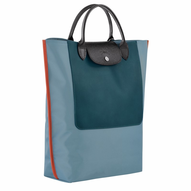 τσάντεσ tote ανδρικα Longchamp Cabas Longchamp M μπλε Greece | 10264093427-