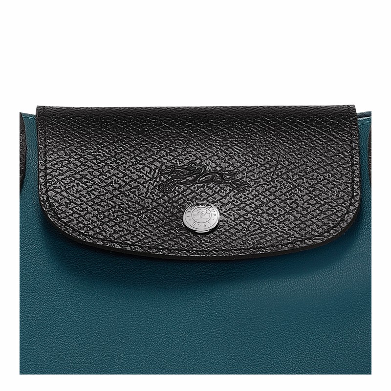 τσάντεσ tote ανδρικα Longchamp Cabas Longchamp M μπλε Greece | 10264093427-